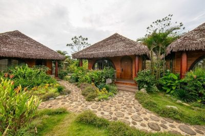 Toàn cảnh Nhà Giếng Ngọc Jacaranda