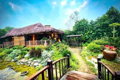 Toàn cảnh Nhà Ngoại Jacaranda